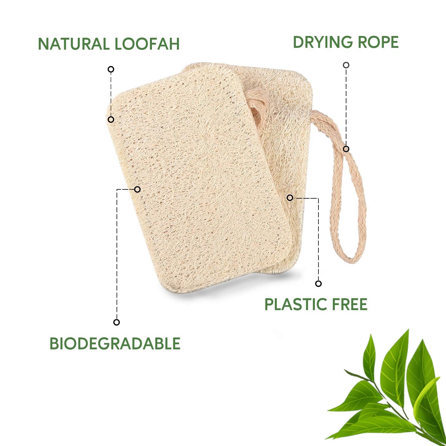 eplanita Éponges à Vaisselle Naturelles (Paquet de 6), Récureur Eco Scrub de Cuisine, Plante de Loofah Naturelle, Biodégradable et Zéro Déchet